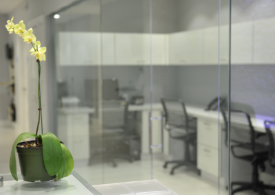 Physical Therapy South Miami